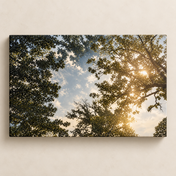 Light Through the Canopy horizontal canvas standalone