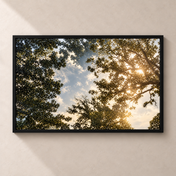 Light Through the Canopy horizontal poster in a black frame, front view on a warm neutral wall