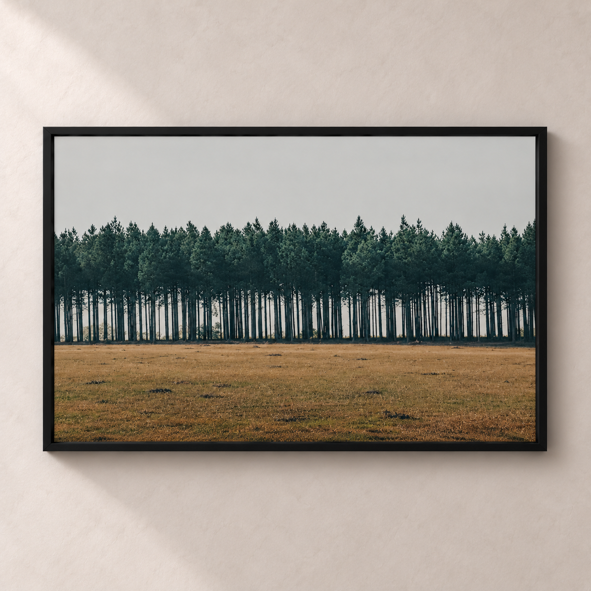 Line of Pines - Póster horizontal